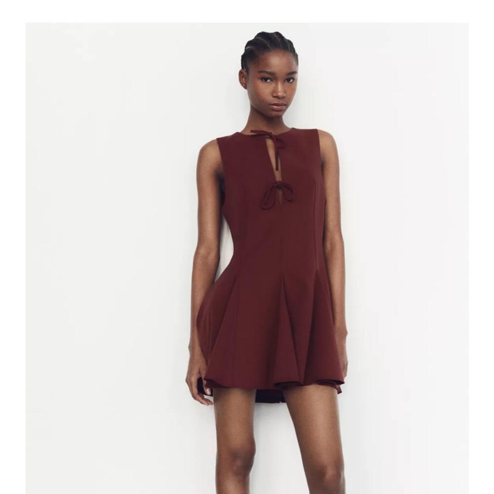 Zara burgundy dress- worn once